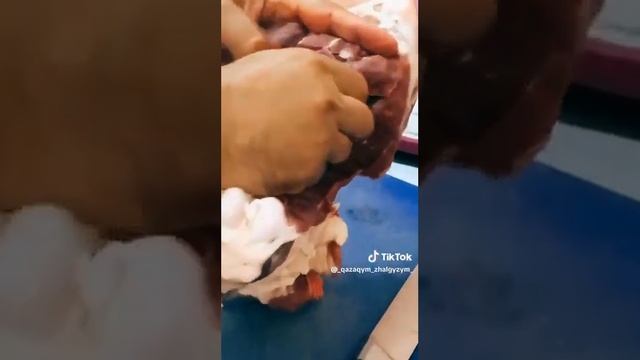 КАК ПРАВЕЛЬНО ГОТОВИТЬ БАРАНИНУ ЧТОБЫ НЕБЫЛО ЗАПАХА смотреть онлайн