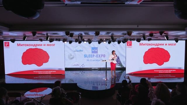 Энергия клетки: эффективность магнитной терапии от компании Forbis для улучшения качества сна