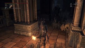 Bloodborne фарм душ (отголосок крови)