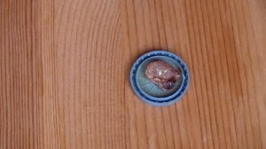 Замена аккумулятора на китайском беспроводном геймпаде DEXP G-5