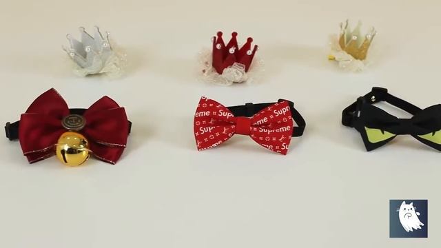 Празднуем день рождения котиков | Funny Cats смотреть онлайн