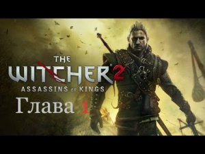 The Witcher 2 Assassins of Kings 2011 Игрофильм Глава 1 Основной сюжет на Русском языке