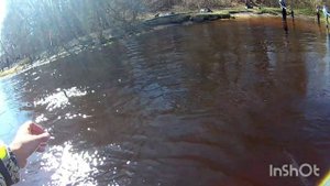 рыбалка на язя весной. как ловить язя на быстротечном реке.