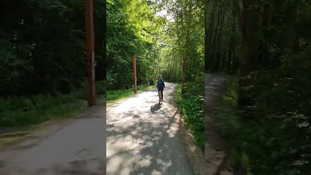 Our first biking in Finland, Jyvaskyla.