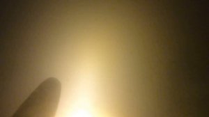 Как Найти Сазана В Мутном Водоёме. Подводная Охота - Трофей. Способ №1.