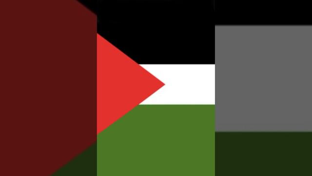 Что означает флаг Палестины #flags #палестина #palestine