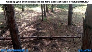 Отрывок из жизни  белки  Тольяттинском  Дендрарии куда можно сходить в любое время года и отдохнуть