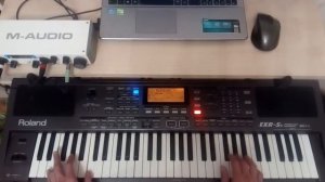 Листья жёлтые над городом кружатся Roland EXR 5s