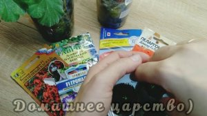 Какие цветы можно посеять