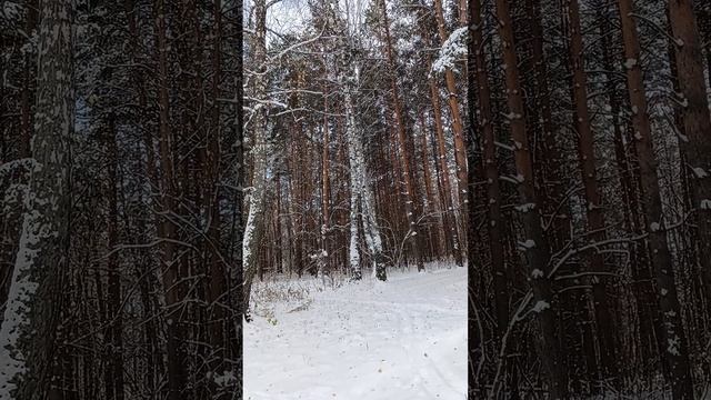 Стихи. Валерий Брюсов. " Первый снег ".#Valery Bryusov#first snow#poems#