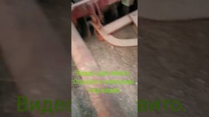 Борона дисковая садовая БДСТ