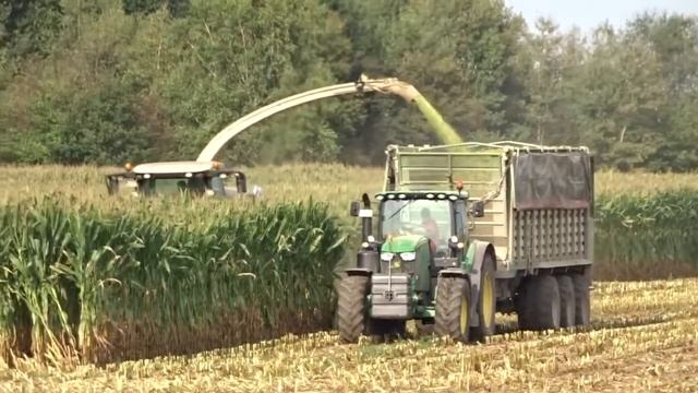 Sony-DSC WX350 Corn Harvesting/Shredding | Zoom Test FHD смотреть онлайн