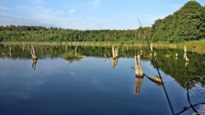 Ловля щуки в коряжнике,  Рыбалка на спиннинг,  Опасное место для лодки
