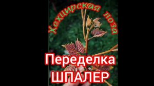 Шпалера для винограда своими руками.