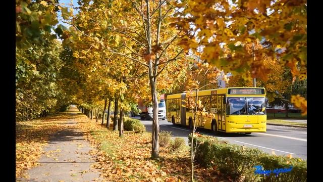 Аудиореклама про безопасность от гимназистов зазвучала в барановичских городских автобусах