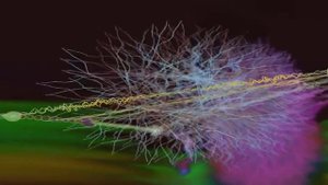 Gran Turismo 4 OST 「It's All about You」