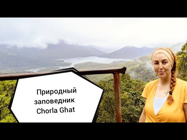 Едем в заповедник Chorla Ghat на юге Гоа, Индия