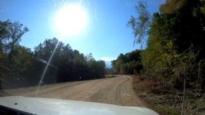 С ПИТБУЛЯМИ В ГОРЫ !!! 1 часть. Багира с Кими убежали !!! Увлекательное путешествие с питбулями!!!