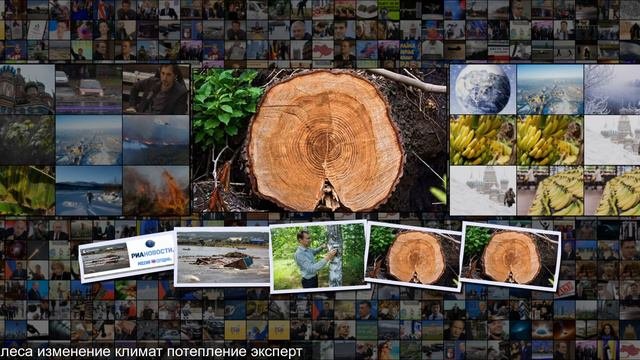Климат России изменится к худшему и это серьезная угроза, считают ученые