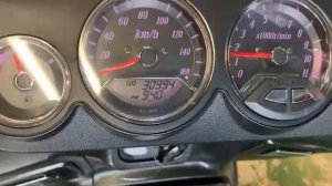 SUZUKI GEMMA 250 CJ47A-102558, J444-102564, GOLD, KUPISCOOTER.RU