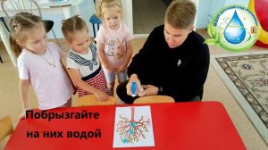 опыт "Распускающиеся цветы"