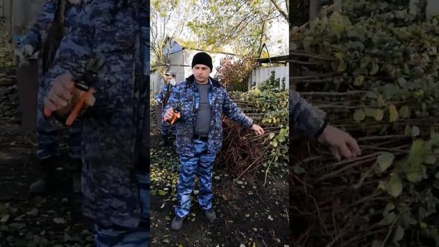 Подготовка саженцев к хранению и продаже | КФХ Манаков смотреть онлайн