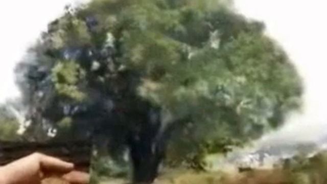 Kingdom of God in the Earth (circa 24 A.D. to 2024 A.D.) : Eternal Kingdom, 2024AD+ смотреть онлайн