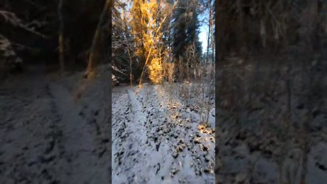 Квантовая психология, энергия и влияние.
