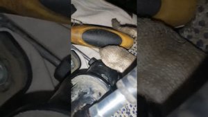 3zr,замена прокладки гбц своими руками, rav4