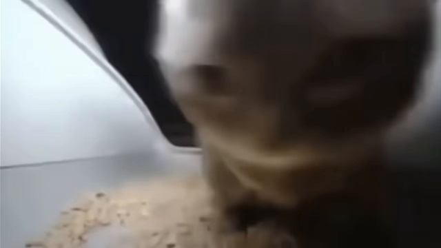 подпишись