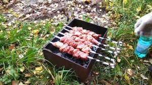 Алиса и папа жарят ШАШЛЫКИ Провожаем лето ПИКНИК У ДОМА Детский канал Little baby Алиса