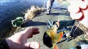 Спиннинг поздней осенью в Сибири 28.10.2021, а пора бы и зиме быть.