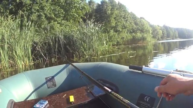 Супер рыбалка. Огромный Линь и Лещ рвут и мечут.Рыбалка в камышах на поплавочную удочку. смотреть онлайн