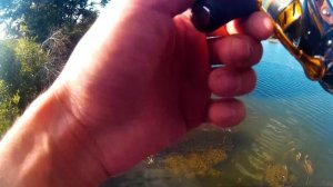 Рыбалка на окуня и щуку.Спиннинг с берега в Подмосковье. Серебреные пруды