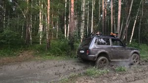 Утопили ниву, глаза боятся нива едет. Версия ДЕМО