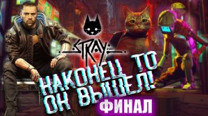 Финал прохождения Stray, концовка и обзор игры