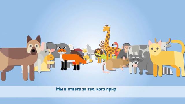 ЗАЩИТИМ ПРАВА ЖИВОТНЫХ