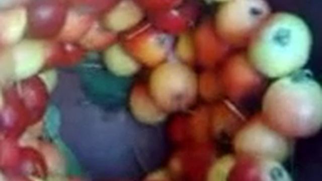 Ранетки (яблоки) выстроились в доль стенок ведра!!! смотреть онлайн