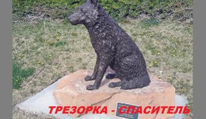 Трезор-кормилец
