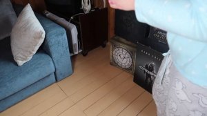 24 ЧАСА В ОДНОЙ КОМНАТЕ С КОТАМИ И СОБАКОЙ | ПРЯТКИ В КОРОБКАХ