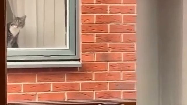 Когда точно должен знать, что там у соседей творится смотреть онлайн