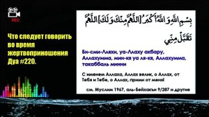 Дуа #220. Что следует говорить во время жертвоприношения.