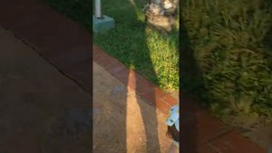 отель Alba resort Чолаклы Сиде сентябрь 2020 год. Дорога с пляжа до отеля.