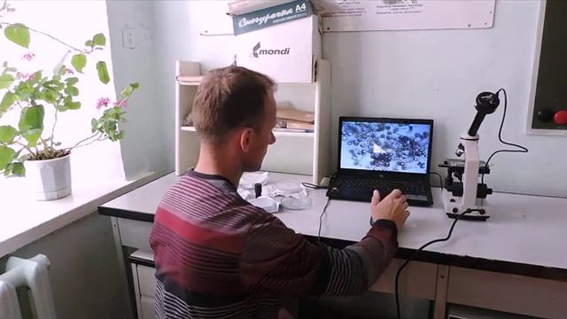 Техника гибридизации. Гибридизация растений, Скрещивание растений, Опыление смотреть онлайн