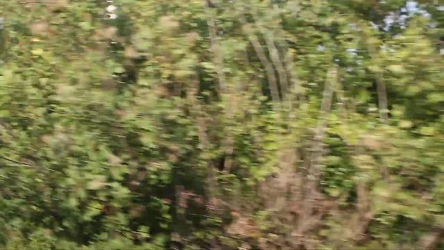 Экскурсия по Абхазии 1 смотреть онлайн