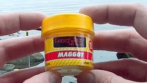 Искусственный опарыш. Работает или нет?