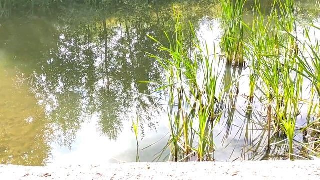 Ларинка (коттеджный посёлок) в Ярославле смотреть онлайн