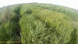 По болоту. Река каргат.  село Аткуль. Снова первые!