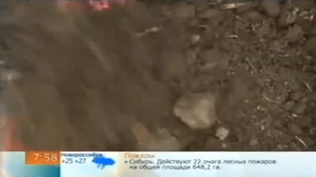 Цветник из старого чемодана смотреть онлайн