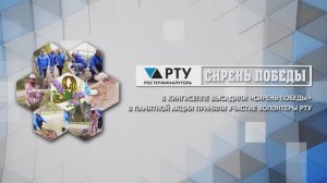 В Кингисеппе высадили «Сирень Победы»